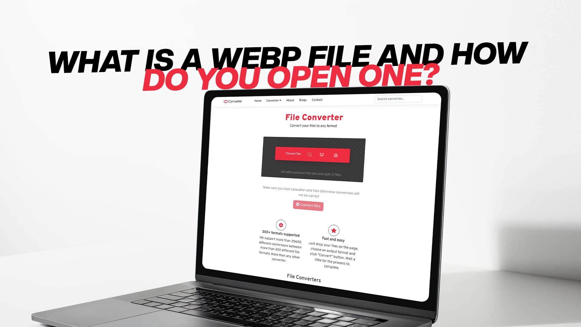What Is a WEBP File and How Do You Open One?
